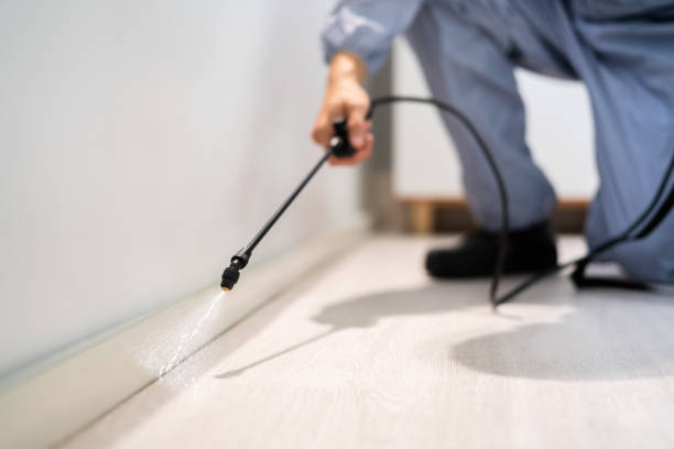 Licensed Pest Control service in Farmington, IL - Show Me Pest Control